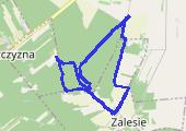 Trasa z dnia 2013-11-03 16:25 - mapa trasy gps - spacer