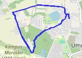 Trasa z dnia 2013-11-11 12:30 - mapa trasy gps - marsz