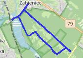 Trasa z dnia 2013-11-22 12:25 - mapa trasy gps - bieganie