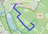 Trasa z dnia 2013-11-02 11:25 - mapa trasy gps - bieganie