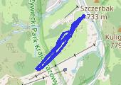 Trasa z dnia 2013-12-15 11:09 - mapa trasy gps - snowboard