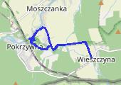 Z Wieszczyny na Młyńską Górę - mapa trasy gps - marsz