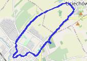 Trasa z dnia 2013-12-29 17:31 - mapa trasy gps - marsz