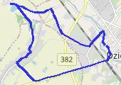Trasa z dnia 2014-01-06 14:04 - mapa trasy gps - marsz