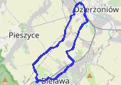 Trasa z dnia 2014-02-02 11:29 - mapa trasy gps - marsz