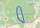 Nordic - mapa trasy gps - marsz