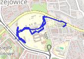 Trasa z dnia 2014-03-03 21:03 - mapa trasy gps - spacer