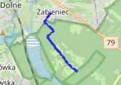 Trasa z dnia 2014-03-21 18:02 - mapa trasy gps - bieganie