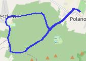 2014-03-26T16:04:04Z - mapa trasy gps - bieganie