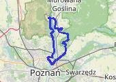 Dziewicza Góra-Owińska-Biedrusko - mapa trasy gps - rower górski