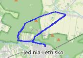 Trasa z dnia 2014-03-30 08:37 - mapa trasy gps - bieganie
