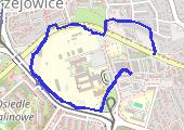 Trasa z dnia 2014-03-29 19:30 - mapa trasy gps - spacer