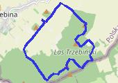 Poniedziałek Wielkanocny: Na Gajną, Muflon i Dębową Górę - mapa trasy gps - marsz