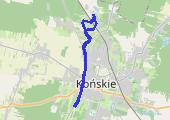 Trasa z dnia 2014-05-02 12:18 - mapa trasy gps - marsz