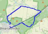 Trasa z dnia 2014-06-01 10:06 - mapa trasy gps - bieganie