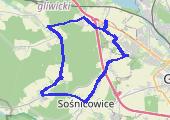 Rzeczyce - 32.9 km  - mapa trasy gps - rower górski