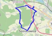 Rzeczyce - mapa trasy gps - rower górski