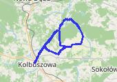 Trasa z dnia 2014-06-05 19:17 - mapa trasy gps - rower szosowy