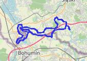 Wzdłuż Olzy.. - mapa trasy gps - rower górski
