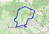 Trasa z dnia 2014-06-12 11:42 - mapa trasy gps - marsz