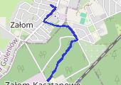 Trasa z dnia 2014-06-15 18:01 - mapa trasy gps - marsz