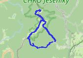 Z Karlova pod Pradziadem na Vysoką Holę i Pradziada - mapa trasy gps - marsz
