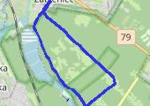 Trasa z dnia 2014-06-25 19:51 - mapa trasy gps - bieganie