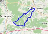 Trasa z dnia 2014-07-27 20:49 - mapa trasy gps - rower górski