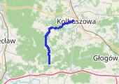 Trasa z dnia 2014-08-10 11:18 - mapa trasy gps - rower górski