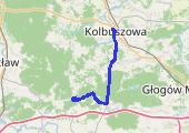 Trasa z dnia 2014-08-10 15:58 - mapa trasy gps - rower górski