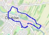Trasa z dnia 2014-08-26 21:17 - mapa trasy gps - marsz