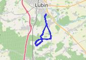 Gorzelin - mapa trasy gps - rower szosowy