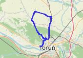 ostaszewo - kowróz - pigża - mapa trasy gps - rower szosowy