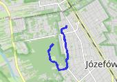 Trasa z dnia 2012-06-13 19:58 - mapa trasy gps - marsz