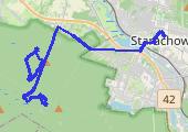 Grzybki - mapa trasy gps - inna