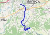 Tarnów-Łowczówek - mapa trasy gps - rower szosowy