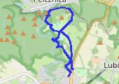 Zielak - mapa trasy gps - inna