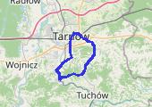 Złota jesień: Tarnów, Pleśna, Zajazd pod Grzybem, Łękawica, Skrzyszów - mapa trasy gps - rower trekkingowy