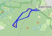 Trasa z dnia 2014-10-08 18:28 - mapa trasy gps - nordic walking