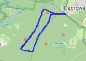 Trasa z dnia 2014-10-13 18:26 - mapa trasy gps - nordic walking