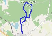 Dzień 13 - mapa trasy gps - bieganie