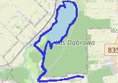 Trasa z dnia 2014-10-19 11:53 - mapa trasy gps - rower górski