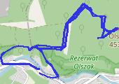 Jarnołtówek - Olszak - Jarnołtówek - mapa trasy gps - marsz