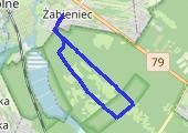Trasa z dnia 2014-10-25 17:19 - mapa trasy gps - bieganie