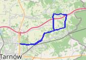 Pożegnanie sezonu (Tarnów-Żukowicex2) - mapa trasy gps - rower trekkingowy