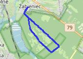 Trasa z dnia 2014-11-10 16:27 - mapa trasy gps - bieganie