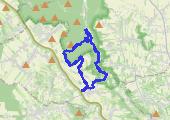 Trasa z dnia 2014-11-11 11:02 - mapa trasy gps - bieganie