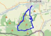 CardioTrainer_2011-01-29T11_18_14Z - mapa trasy gps - rower górski