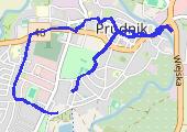 CardioTrainer_2011-02-11T16_35_53Z - mapa trasy gps - marsz
