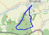 CardioTrainer_click to enter name - mapa trasy gps - bieganie